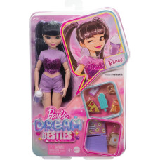 Barbie Dream Besties Renee Doll HYC24